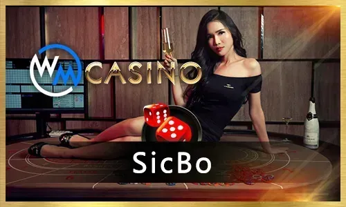 Generous Bonuses & Promotions